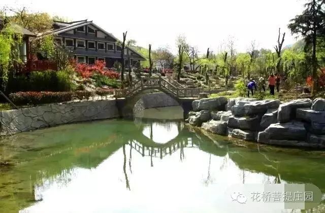 這個(gè)周末，隴南康縣花橋有大事要發(fā)生？