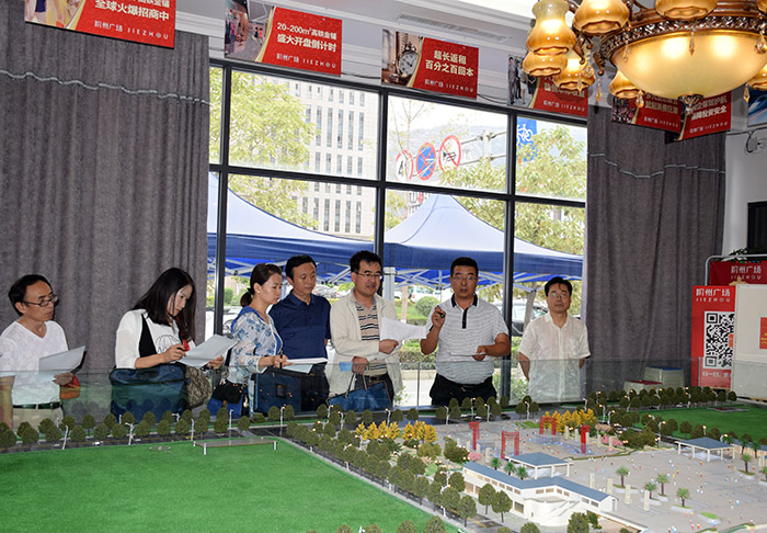 省、市聯(lián)合工作組蒞臨階州廣場檢查指導(dǎo)工作