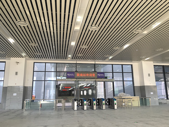 全國(guó)、省市政協(xié)委員體驗(yàn)蘭渝鐵路、視察階州廣場(chǎng)