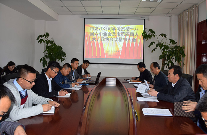 市龍江公司召開(kāi)全體員工大會(huì)，專題傳達(dá)學(xué)習(xí)上級(jí)會(huì)議精神