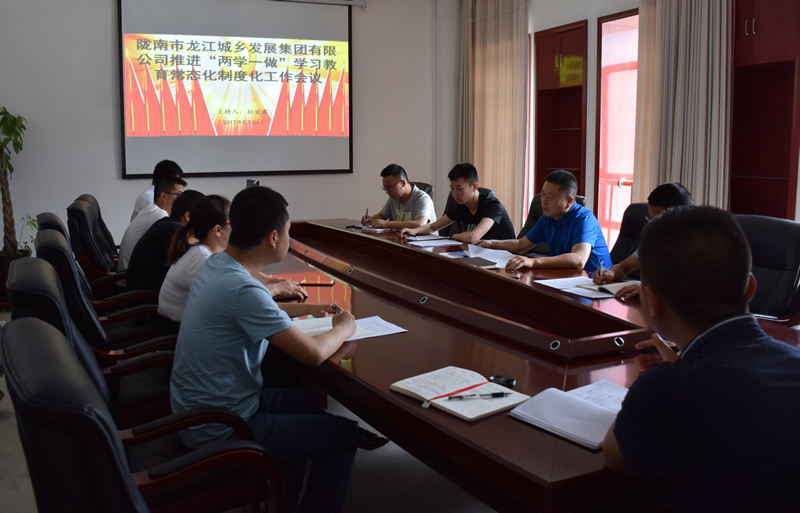 市龍江城鄉(xiāng)發(fā)展集團公司召開推進“兩學(xué)一做”學(xué)習教育常態(tài)化制度化暨黨風廉政建設(shè)工作會議