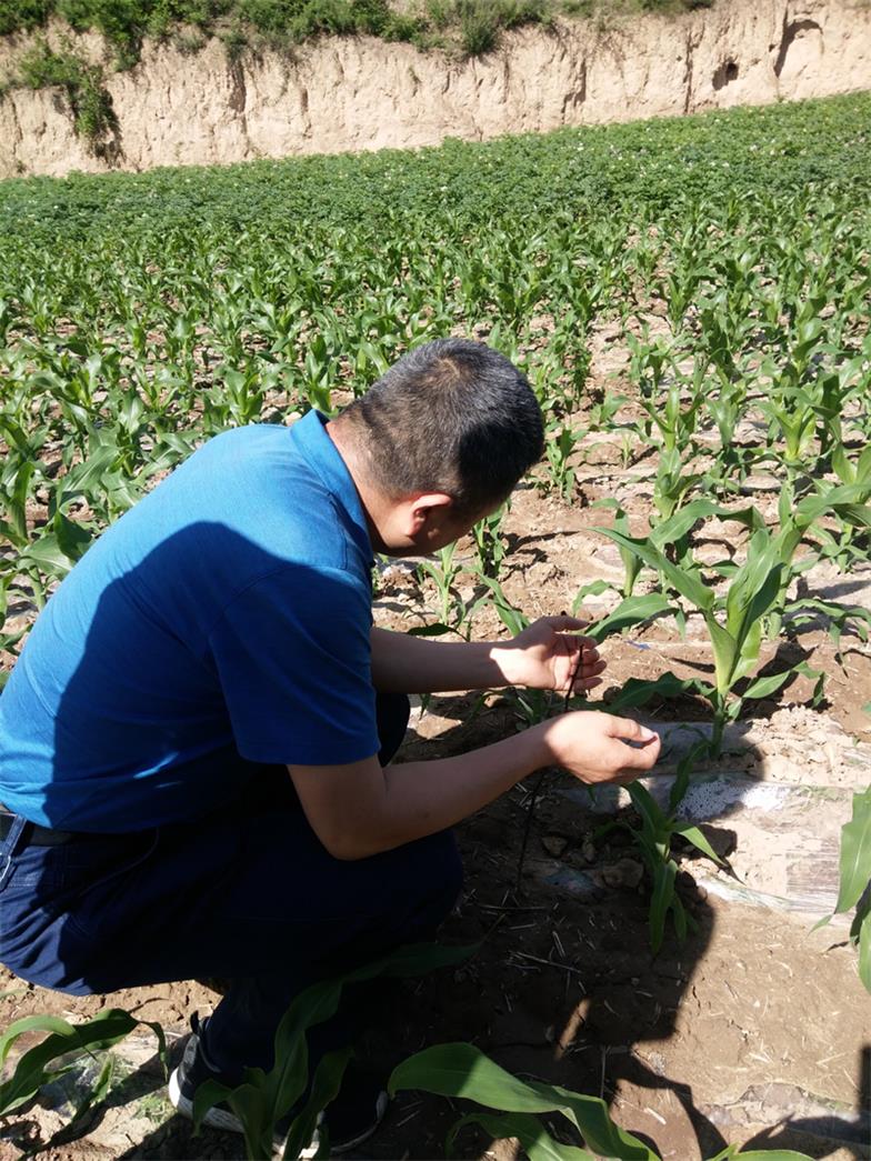 市龍江城鄉(xiāng)發(fā)展集團(tuán)深入幫扶村開展突出問(wèn)題排查整改落實(shí)工作