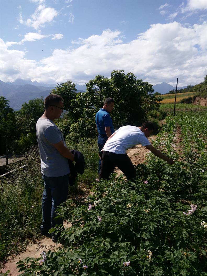 市龍江城鄉(xiāng)發(fā)展集團(tuán)深入幫扶村開展突出問(wèn)題排查整改落實(shí)工作