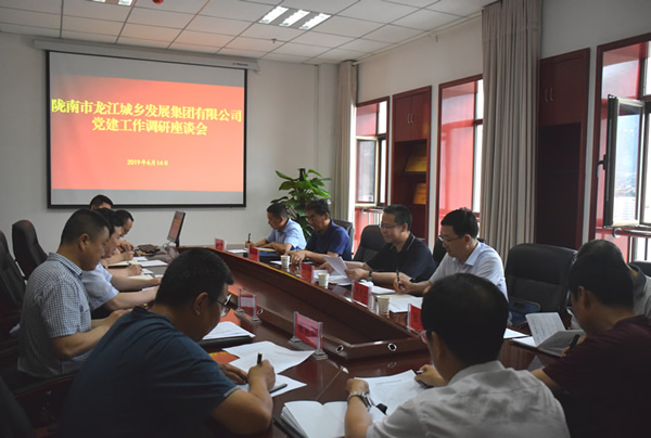 隴南市委常委、組織部部長(zhǎng)楊郃調(diào)研指導(dǎo)市龍江城鄉(xiāng)發(fā)展集團(tuán)公司黨建工作