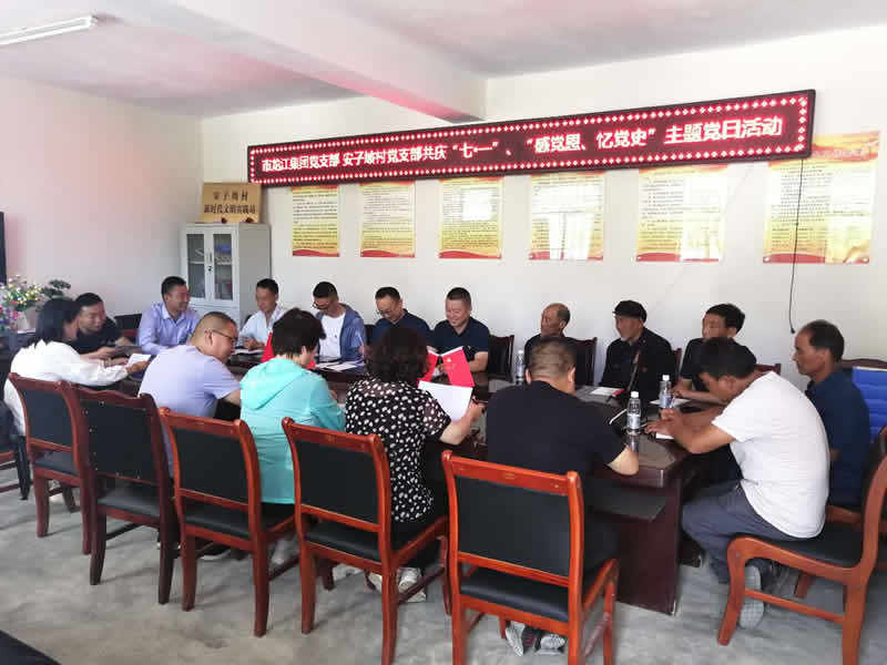 “感黨恩、憶黨史”，--市龍江城鄉(xiāng)發(fā)展集團(tuán)公司開展慶祝建黨99周年主題黨日活動(dòng)