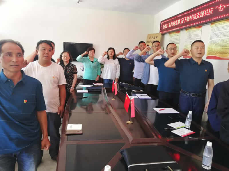 “感黨恩、憶黨史”，--市龍江城鄉(xiāng)發(fā)展集團(tuán)公司開展慶祝建黨99周年主題黨日活動(dòng)