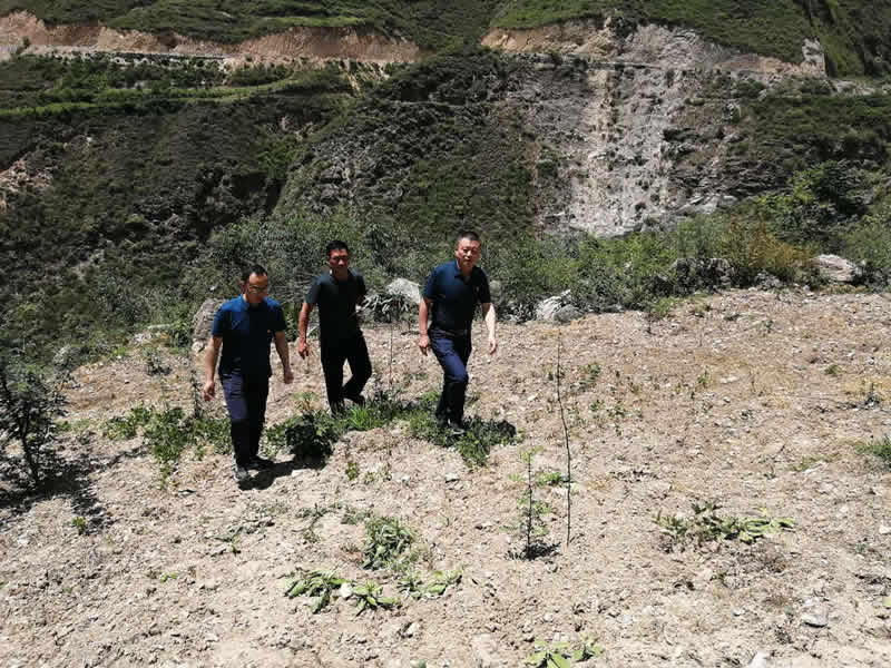 “感黨恩、憶黨史”，--市龍江城鄉(xiāng)發(fā)展集團(tuán)公司開展慶祝建黨99周年主題黨日活動(dòng)